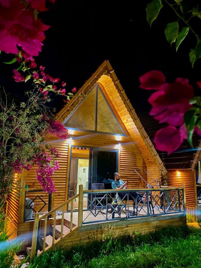 Holiday home Begonvil 1